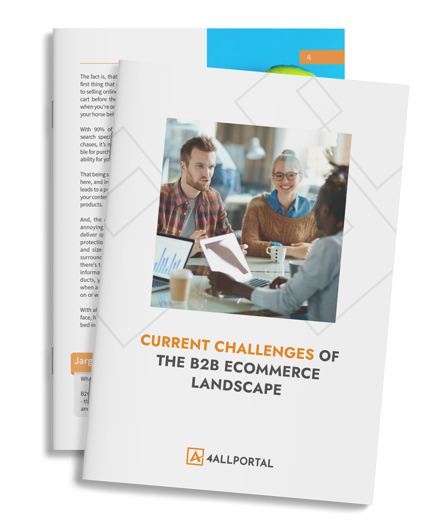 B2B and E-Commerce